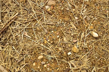 Straw, stones and sand
