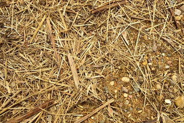 Straw, stones and sand