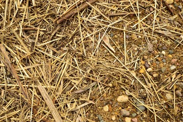 Straw, stones and sand