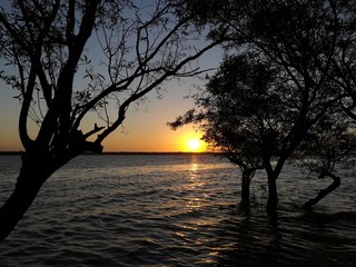 Sunrise/Amanecer en río
