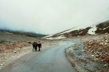 People Waliking on a road in the himalayas