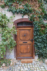 Autumn colors around the front door of a Rustic English Cottage