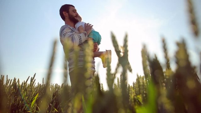 Strong father lobbed son in the sky. Playing with him at sunset in the wheat field