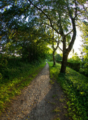 Fototapeta premium Views from Horsholm, denmark