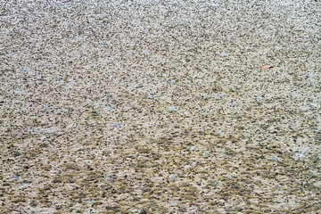 Sand texture after tidal