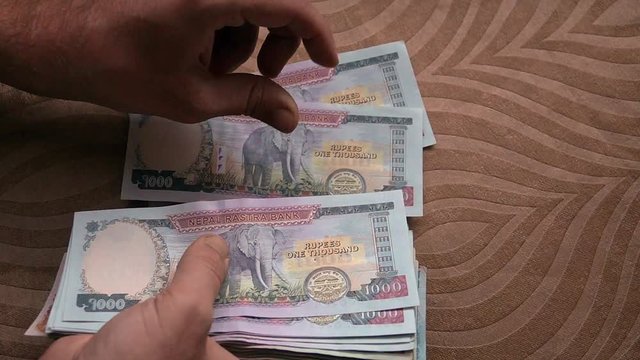 Counting National Currency of Nepal - Nepalese Rupee (NPR)
