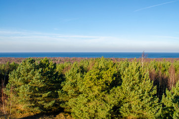 Fototapeta na wymiar The Baltic sea from the highest point on the Curonian spit - the height of Muller