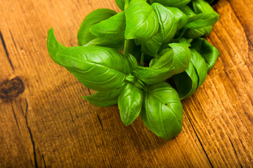 Basil