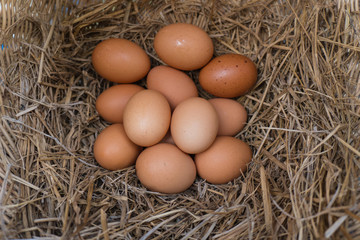 Eggs on a chicken nest made of straw are in the basket.Fresh eggs from the farm every day.