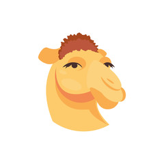Camel head vector