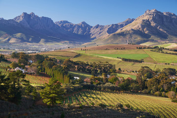 Aerial view of countryside landscape with vineyards and mountains near Stellenbosch, South Africa