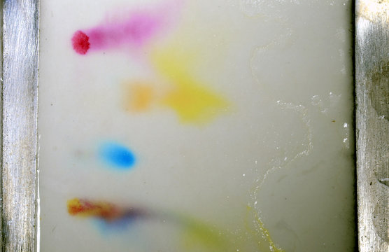 Electroforesis on color pigments, from above, 3 primary colors, then a mix of the three colors. The electroforesis sorts the different pigments after molecule size, being placed on a gelatine surface