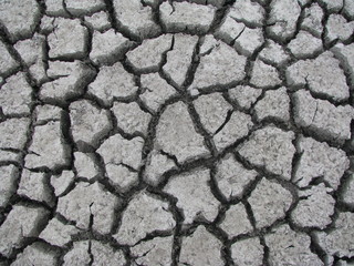 Cracked ground (bottom of the lake)