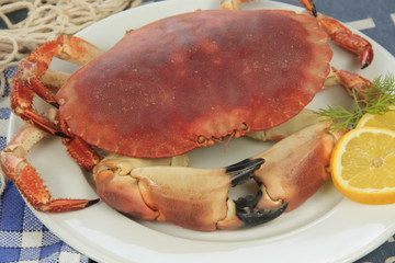 crab on a plate