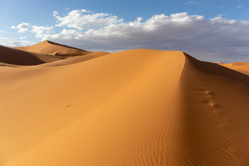 Fototapeta na wymiar Beautiful sand dunes in the Sahara desert, Morocco