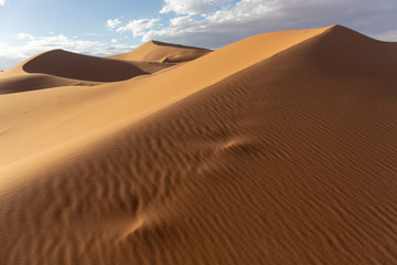 Fototapeta na wymiar Desert Sand Dunes Lit by beautiful warm morning light Sand Dunes Landscape