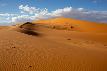 Deserts and Sand Dunes Landscape at Sunrise, Sahara
