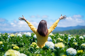 Une femme asiatique heureuse tient sa main dans un champ de fleurs d& 39 hortensia.