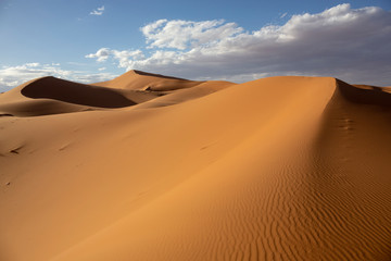 Fototapeta na wymiar golden dunes of Erg Chebbi near Merzouga in Morocco