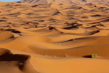 Landscape of sand hot desert with wind and sky. Outdoor panorama on wild summer dune. Arab and safaris, african and egypt, east climate, travel and tourism, adventure and wild theme