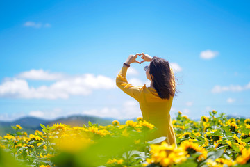 Happy carefree summer woman in sunflower field in spring. Cheerful multiracial Asian woman hands forming a heart shape on sunflowers field.