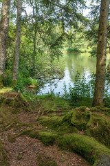 Fototapeta na wymiar Longemer lake at the Vosges mountains in France.