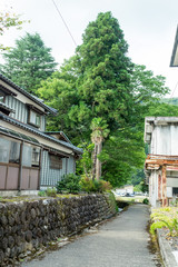 今庄(福井県)-民家の街並み