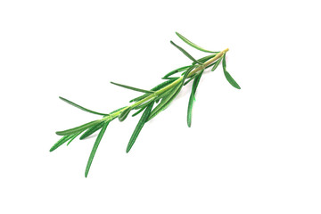 Fototapeta premium rosemary Leaves isolated on white background 