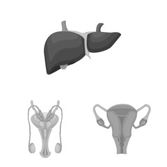 Isolated object of body and human logo. Collection of body and medical stock vector illustration.