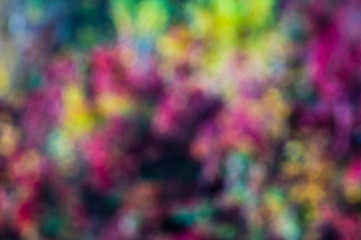 Abstract blurry background with vivid colors.