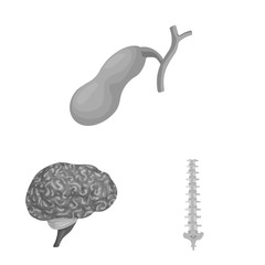 Isolated object of body and human icon. Set of body and medical stock symbol for web.