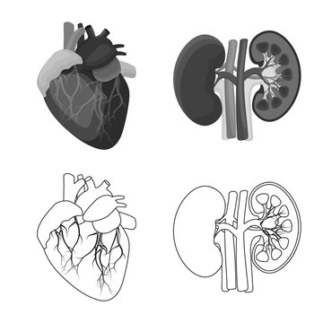 Isolated object of body and human logo. Collection of body and medical vector icon for stock.