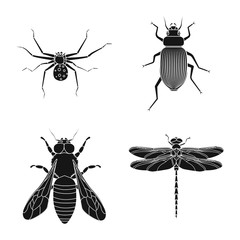 Vector design of insect and fly symbol. Collection of insect and element stock symbol for web.