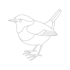 robin bird vector illustration,  lining draw ,profile
