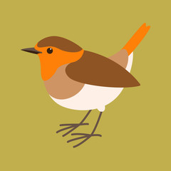 robin bird vector illustration, flat style,profile