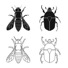 Vector illustration of insect and fly symbol. Collection of insect and element stock vector illustration.