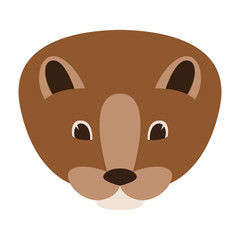mink face vector illustration, flat style, front view