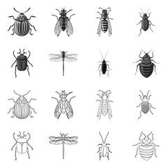 Vector illustration of insect and fly logo. Collection of insect and element stock vector illustration.
