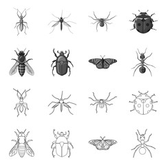 Vector illustration of insect and fly symbol. Set of insect and element stock symbol for web.