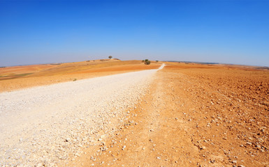 Fototapeta na wymiar Dirt road in Southern Israel.