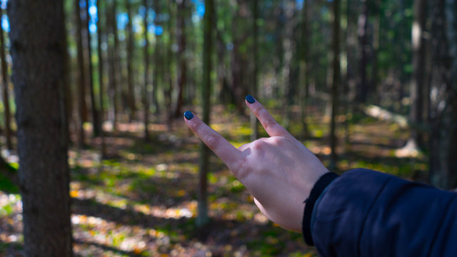 Hook 'Em Horns In Nature. Good Vibes.