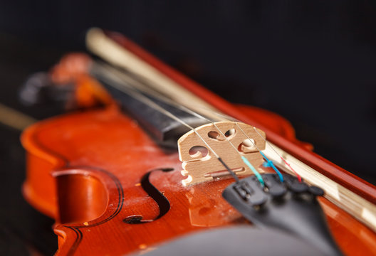 brown vintage violin