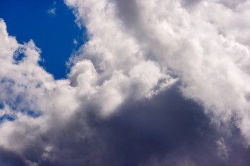 Obraz premium lush white cumulus clouds swim across the blue sky