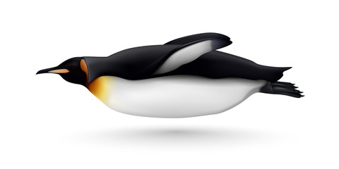 Swimming Penguin Realistic Isolated