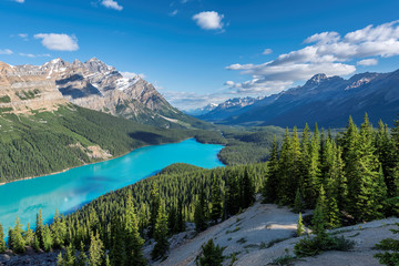 The turquoise water of Peyto lake  in Banff National Park, Alberta, Canada.
