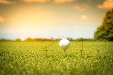 Golf sport concept Happy New Year 2019.Golf ball put on tee with blur beautiful view sunlight ray sky background.