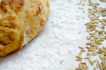 Loaf of fresh baked wheat and rye bread with grains and white flour on wooden table background. Close up photography
