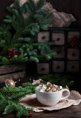 Winter hot drink, cacao with marshmallows