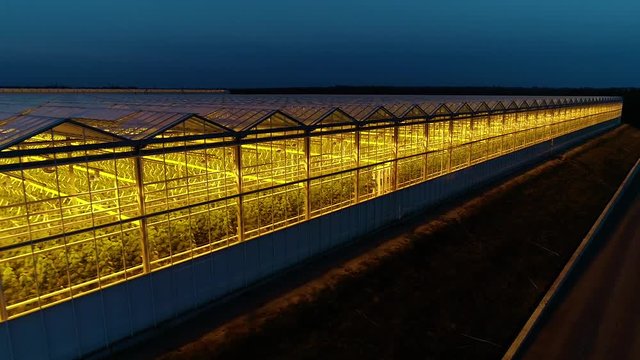Amazing aerial shot of the huge modern greenhouse at night