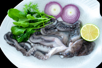 Fresh octopus with rockets leaves served on white plate